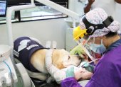 Aldo es el primer asistente dental canino de Ecuador. Trabaja para calmar a los niños.