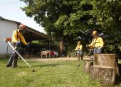 Trabajadores de la empresa Oportunidades Disponibles (Opordis) podan césped durante su jornada laboral, el 19 de marzo de 2022, en el municipio de El Bagre, Antioquia (Colombia). EFE/ Luis Eduardo Noriega A.