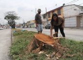 Suceso. En los últimos días se registró la poda.