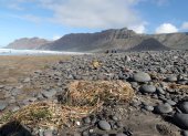 Imagen de archivo de microplásticos en una playa de (Lanzarote).