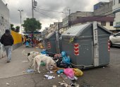 Perros. El problema no es solo la falta de capacidad de los contenedores, sino que la gente deja la basura donde quiere y eso atrae a perros, ratas y mosquitos.
