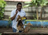 El entrenador canino Alfredo Pérez entrena a dos perros en La Escuela Canina de Nicaragua hoy, en Managua (Nicaragua).