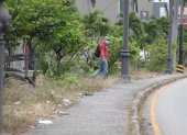 Situación. A lo largo de la avenida Orellana, el jardín del parterre central luce con mucha maleza y basura.