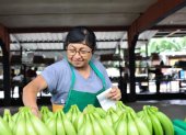 Hacienda.- Una trabajadora agrícola en una bananera de la provincia de El Oro.
