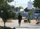 Mascotas. En parques cerrados o abiertos, el excremento de mascotas es lo que más se observa. Pocos llevan fundas para recoger las heces.