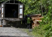 Trabajadores cargan un camión con troncos de balsa, en Río Villano, provincia de Pastaza (Ecuador), en una fotografía de archivo.