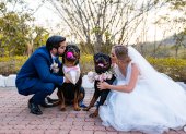 Un evento especial. Los novios Gabriela Corona y Andrés Sánchez vistieron a sus mascotas para la ocasión.