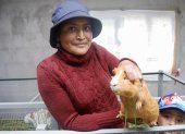 Ana Gabriela Guaján posa con un cuy en un criadero que ha construido como beneficiaria del programa de retorno productivo voluntario, el 10 de junio de 2022 en Cayambe (Ecuador).