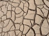 Suelo resquebrajado de un río seco
