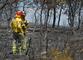 Varios bomberos en la zona afectada por el incendio forestal originado ayer en Humanes (Guadalajara).