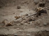 Detalle de los restos de un cadáver colonial, con una cruz pegada a su caja toráxica, hallado en el zoológico Parque de las Leyendas, el pasado 8 de agosto, en Lima (Perú). EFE/Paolo Aguilar