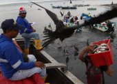 La principal actividad económica de Posorja es la pesca