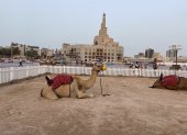 Un espacio con arena y camellos dentro del mercado de Souq Waqif es el lugar ideal para una foto.