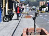 Centro. En las calles Portoviejo y Versalles, en el centro-norte, hay decenas de árboles que prácticamente están muertos. La gente dice que los podaron y se marchitaron.