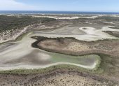 La laguna permanente más grande del Parque Nacional de Doñana (suroeste de España), ha terminado por secarse completamente por la falta de lluvia, el calor y la sobreexplotación del acuífero.