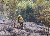 Bomberos informaron que no existe ningún riesgo para las infraestructuras de la zona.