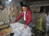 Quisapincha. Manuel Cusquillo prepara una pieza de cuero sobre la que trabajará. Habita en medio páramo.