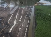 VISTA AÉREA O PANORÁMICA DE PARTE DEL MANGLAR DEFORESTADO, Y SOBRE LA CUAL SE CONSTRUIRÁ PISCINAS PARA LA CRIANZA DE CAMARÓN |
Sobrevuelo por camaroneras en donde se tala indiscriminadamente el manglar. Agencia (ag-extra)