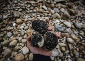 Piedras manchadas de chapapote en el concello coruñés de Muxía, corazón de la Costa da Morte y epicentro del hundimiento del Prestige. Dos décadas atrás un viejo petrolero vomitó toneladas de desolación en las costas de Galicia, de gran parte del Cantábrico e incluso zonas de Francia y Portugal. En 2002 aquella marea negra de chapapote provocó impresionantes brotes de indignación y solidaridad. El mundo miraba de reojo las playas, la masa viscosa se pegaba a las rocas, lecho marino, manos y guantes, y la sociedad entera estaba descorazonada ante la magnitud del desastre. Ha pasado el tiempo, veinte años, pero hay salpicaduras que el mar todavía no ha lavado y unas compensaciones económicas que siguen sin ser resueltas. EFE/ Cabalar