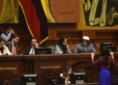 La propia Asamblea debe solicitar al CNE el listado con los resultados de la elección de 2019 de los consejeros de Participación.