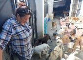 Abandono. Nadie se hace responsable del abandono de los animales de compañía. Sandra Ojeda cumple una labor voluntaria. Así como ella, hay muchos.