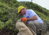 Voluntarios realizan una jornada de limpieza recogiendo basura, el 25 de noviembre del 2022, en las playas de Puerto Cayo (Ecuador).