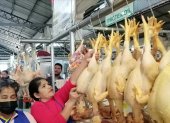 Mercado.- La venta de pollos hasta este martes 29 de noviembre de 2022 es normal, después de que el 27 de noviembre se anunció un brote de gripe aviar.