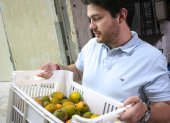 El cofundador de Remango Gonzalo Martínez observa mangos observa mangos el 23 de noviembre de 2022, en Asunción (Paraguay). EFE/