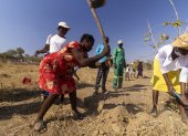 El personal prepara la tierra para el abono en un vivero de plántulas de árboles administrado por My Trees Trust en Deve, en el norte de Zimbabue.