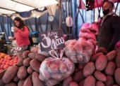 El 90 % de los productos sufrieron alzas, el mayor registro se vio en el costo de las frutas.