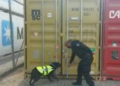 Operativos. Uno de los últimos decomisos de drogas se realizó en un contenedor de cacao de exportación.