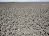 Paisaje lunar de polvo y suelo agrietado en la parte suroeste del Lago Naivasha, en Kenia. Archivo EFE/STEPHEN MORRISON