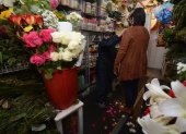 Opción. Muchas personas deciden hacerse ‘baños’ en sus domicilios y compran las plantas.