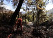 Los incendios acaban con hectáreas de bosques