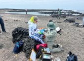 Trabajo. Personal que participó de labores de campo, en Galápagos.