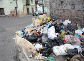 Los peludos en situación de calle se alimentan en cumulo de basura.