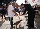 Personas llevan a sus mascotas a bendecir en el marco de los festejos de San Antonio Abad hoy, en el municipio de San Andrés Cholula, estado de Puebla (México).