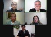 Reunión virtual de algunos integrantes del CNE.