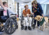 Miami. Un registro de la perra Harmony al acompañar a pacientes del Centro Médico Jackson North.