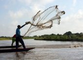 Artesanal.  Pescadores en la carretera que comunica a Barranquilla con Santa Marta, en la Isla de Salamanca.