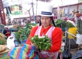 Cuenca. En la capital azuaya se ofertan mucho las plantas medicinales.
