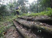 Paso. Una persona mientras recorre Venta de Cruces, en medio de la tupida selva panameña.