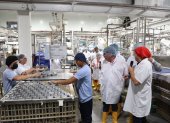 La comisión visitó puertos e industrias locales, para corroborar los controles en la trazabilidad.