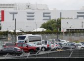 Ecologistas desconocen del impacto real de la nueva planta de Tesla