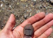 Una pequeña figura encontrada en Valdivia