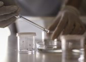 Fotografía de archivo en la que se observa el mosquito Aedes Aegypty en el Centro de Investigaciones de Plagas e Insecticidas de Argentina (Cipein).