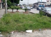 La vegetación crece sin control en la avenida Vicente Trujillo y Esmeraldas, en las Acacías.