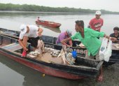 PESCADORES MIENTRAS DESCARGAN LOS MARISCOS DESDE SUS CANOAS.