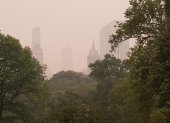 El humo resultante de los incendios forestales canadienses mientras envuelve el famoso Central Park de Nueva York, en una fotografía de archivo. EFE/Jorge Fuentelsaz