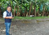 Trabajador de Agrocalidad operando un dron.